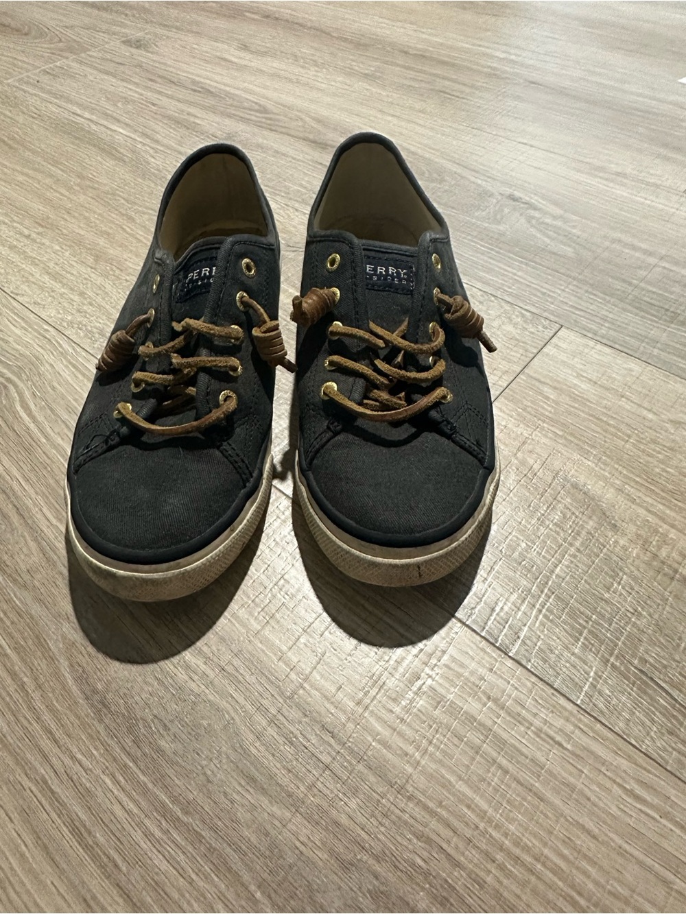 Sperry navy Canvas Low-Top Sneakers with Brown Laces